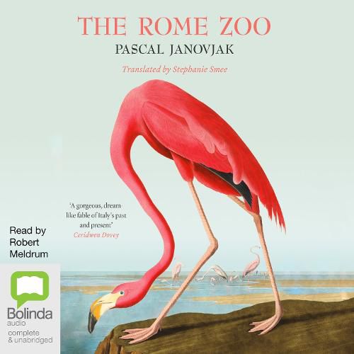 The Rome Zoo