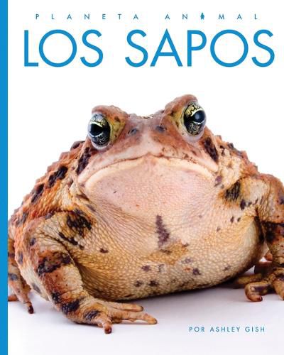 Cover image for Los Sapos