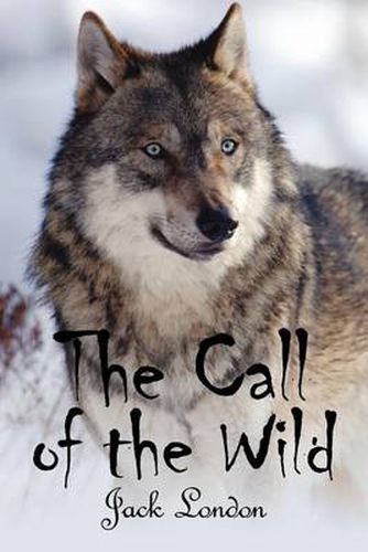 Cover image for The Call of the WIld