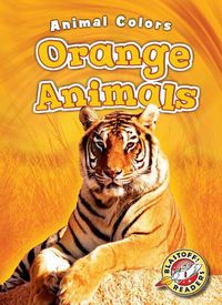 Cover image for Orange Animals