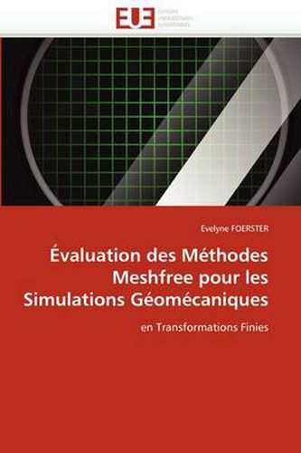 Cover image for Valuation Des M Thodes Meshfree Pour Les Simulations G Om Caniques