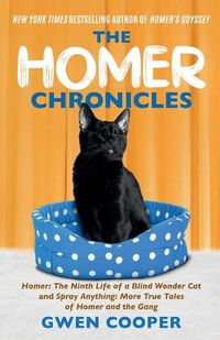 Cover image for The Homer Chronicles