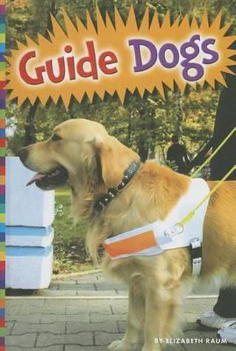 Animals with Jobs: Guide Dogs