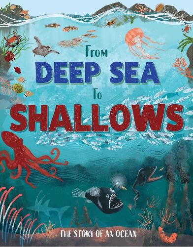 Cover image for From Deep Sea to Shallows: The Story of Oceans