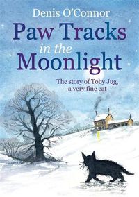 Cover image for Paw Tracks in the Moonlight