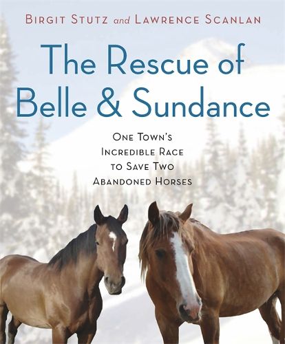 Cover image for The Rescue of Belle and Sundance: One Town's Incredible Race to Save Two Abandoned Horses