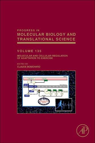 Cover image for Molecular and Cellular Regulation of Adaptation to Exercise