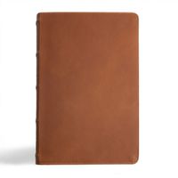 Cover image for CSB Men's Daily Bible, Brown Genuine Leather, Indexed