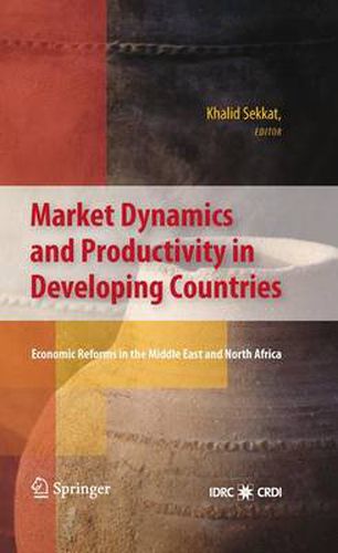 Cover image for Market Dynamics and Productivity in Developing Countries: Economic Reforms in the Middle East and North Africa