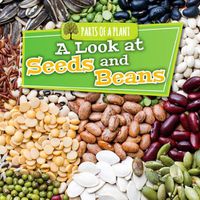 Cover image for A Look at Seeds and Beans