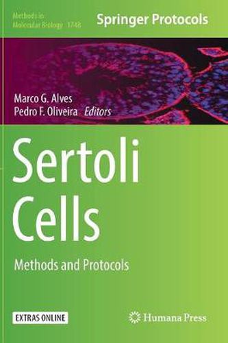 Cover image for Sertoli Cells: Methods and Protocols