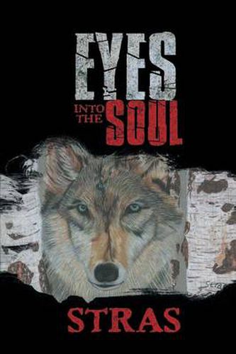 Cover image for Eyes Into the Soul