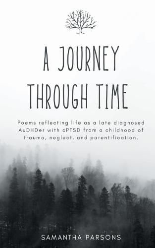 Cover image for A Journey Through Time