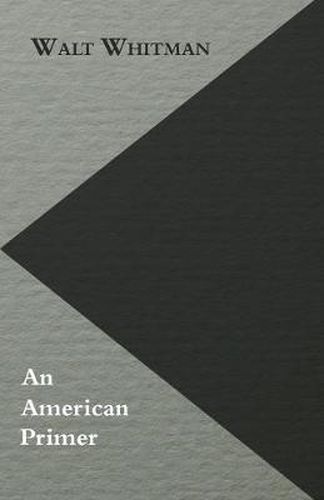 Cover image for An American Primer