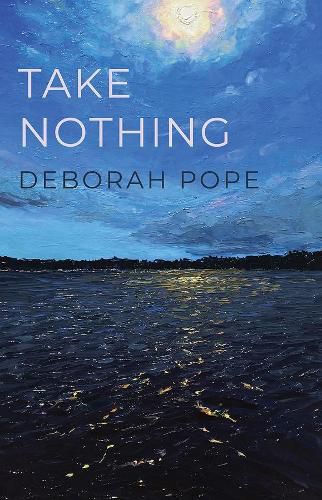 Cover image for Take Nothing