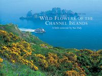 Cover image for Wild Flowers of the Channel Islands Little Souvenir