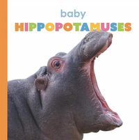 Cover image for Baby Hippopotamuses