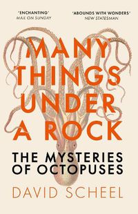 Cover image for Many Things Under a Rock