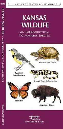 Cover image for Kansas Wildlife: A Folding Pocket Guide to Familiar Species