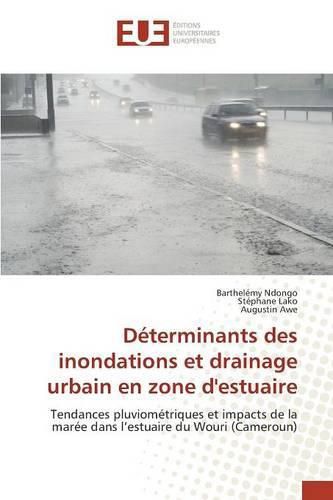 Cover image for Determinants Des Inondations Et Drainage Urbain En Zone d'Estuaire