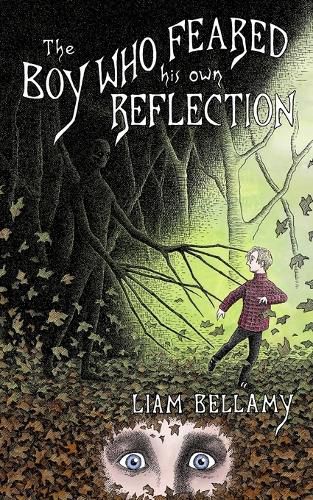 Cover image for The Boy Who Feared his own Reflection