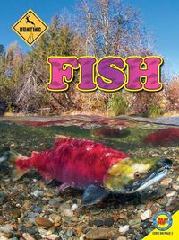 Cover image for Fish