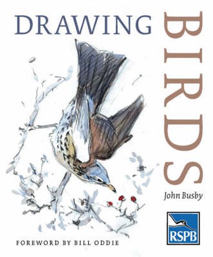 Cover image for Drawing Birds