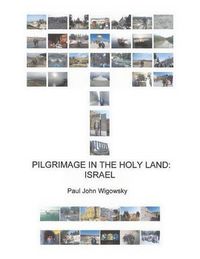 Cover image for Pilgrimage in the Holy Land