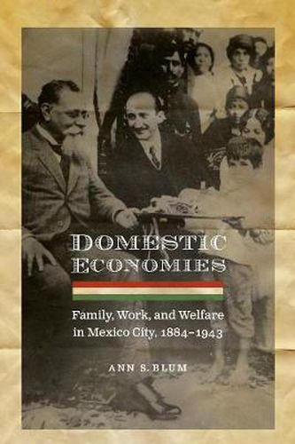 Cover image for Domestic Economies: Family, Work, and Welfare in Mexico City, 1884-1943
