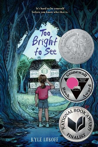 Cover image for Too Bright to See