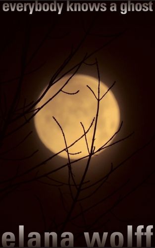 Cover image for Everybody Knows a Ghost