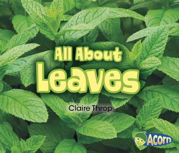 All About Leaves (All About Plants)