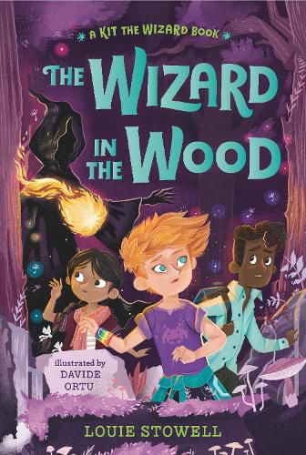 Cover image for The Wizard in the Wood