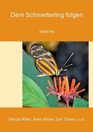 Cover image for Dem Schmetterling folgen: Gedichte