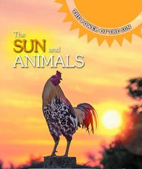 Cover image for The Sun and Animals