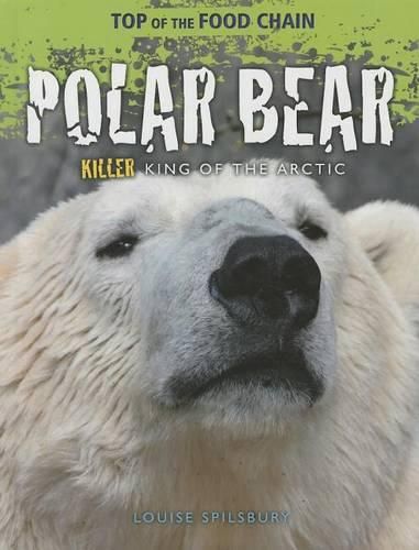 Cover image for Polar Bear