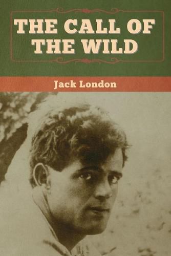 Cover image for The Call of the Wild