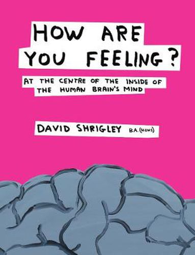 Cover image for How Are You Feeling?: At the Centre of the Inside of The Human Brain's Mind