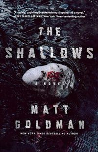 Cover image for The Shallows: A Nils Shapiro Novel