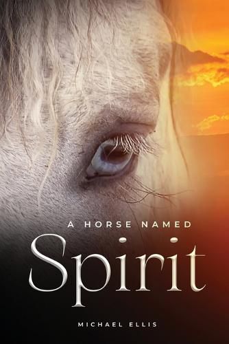 Cover image for A Horse Named Spirit