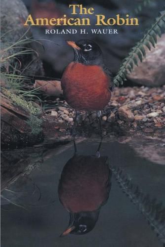 Cover image for The American Robin