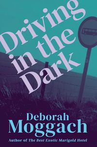 Cover image for Driving in the Dark