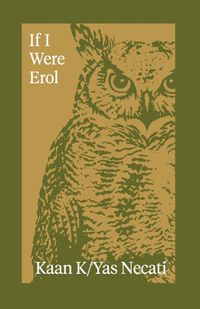 Cover image for If I Were Erol