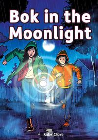 Cover image for Bok in the Moonlight (Set 05)