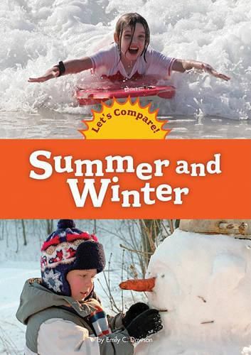 Cover image for Summer and Winter