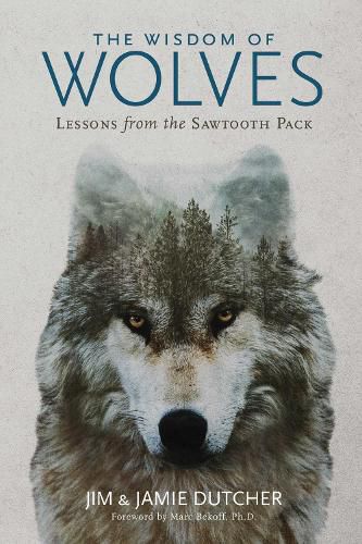 Cover image for The Wisdom of Wolves: Lessons From the Sawtooth Pack
