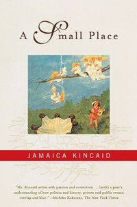 Cover image for A Small Place