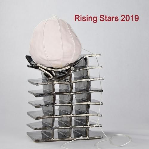 Cover image for Rising Stars 2019