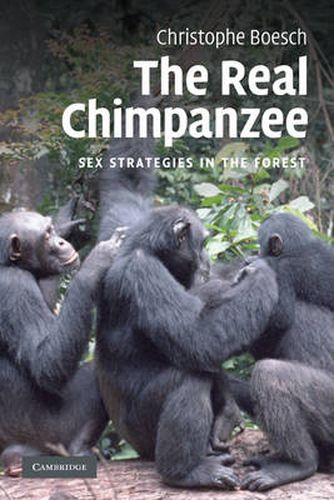 Cover image for The Real Chimpanzee: Sex Strategies in the Forest