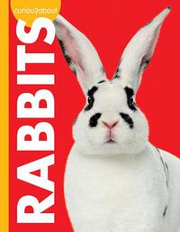 Cover image for Curious about Rabbits